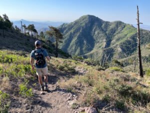 Navigating the Skies: A Comprehensive Guide to Booking Peak Season Flights