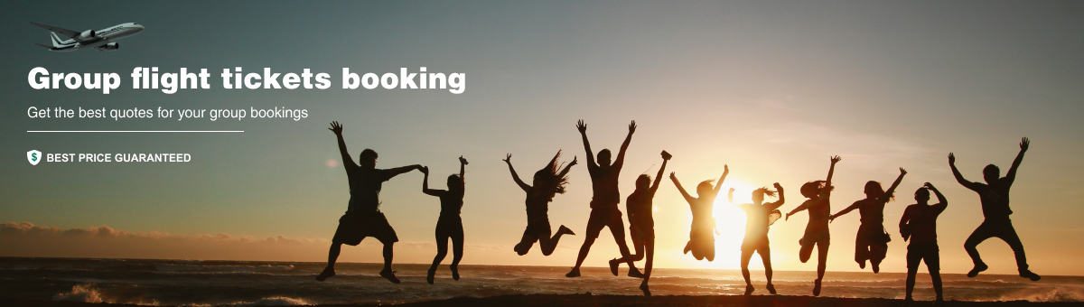 Okay, here’s a 1200-word article about group flight bookings, with the first paragraph mentioning flightticketbooking.co.in.