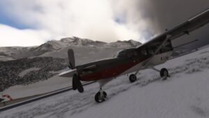 Taking Flight: An In-Depth Look at Wildlife Tour Flights