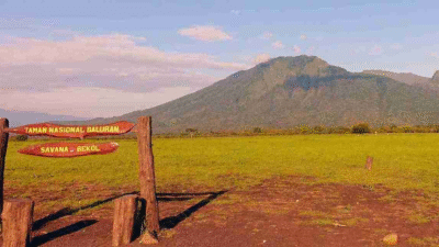 Empat Destinasi Favorit Banyuwangi untuk Menutup Akhir Tahun